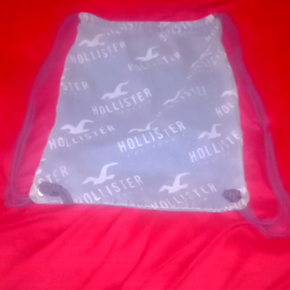 Hollister Backpack